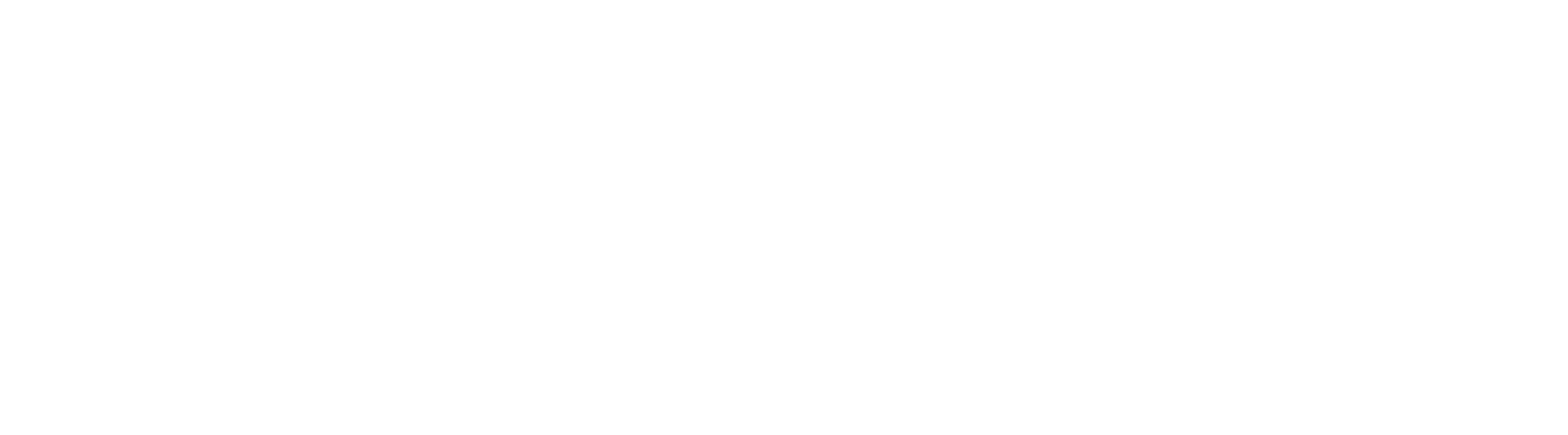 FinZen AI